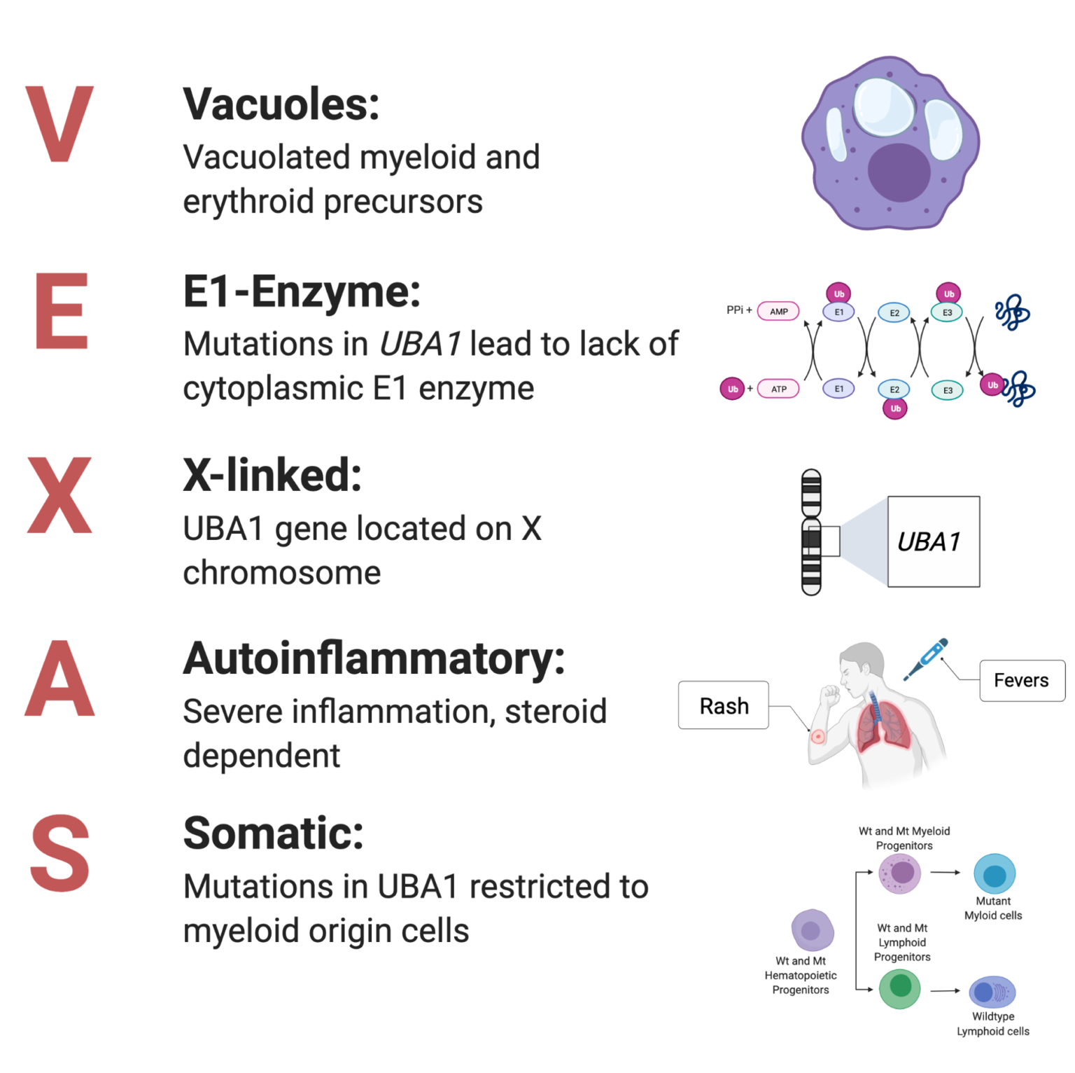 Vexas syndrome: a newly discovered disease and a call to action